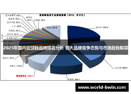 2025年国内篮球鞋品牌排名分析 各大品牌竞争态势与市场趋势解读