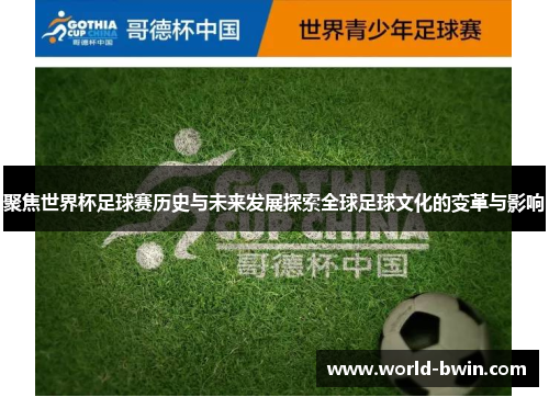 聚焦世界杯足球赛历史与未来发展探索全球足球文化的变革与影响