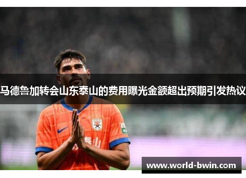 马德鲁加转会山东泰山的费用曝光金额超出预期引发热议