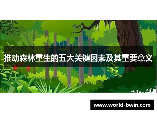 推动森林重生的五大关键因素及其重要意义