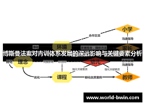 博斯曼法案对青训体系发展的深远影响与关键要素分析