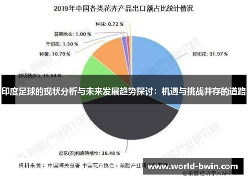 印度足球的现状分析与未来发展趋势探讨：机遇与挑战并存的道路